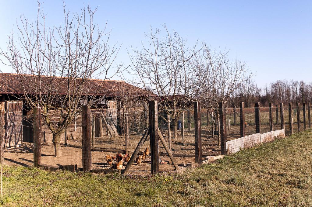 Agriturismo Cascina Aguzza Oleggio Exterior foto
